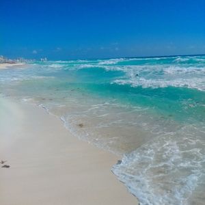 Meet your Posher, Rose